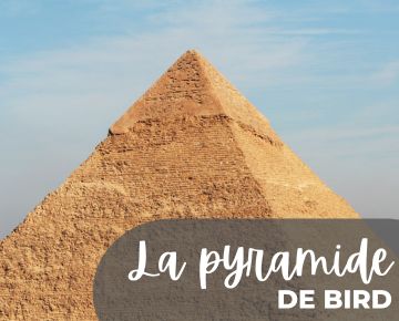 Atelier La pyramide des accidents