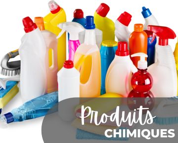 Atelier Risques chimiques / Produits domestiques