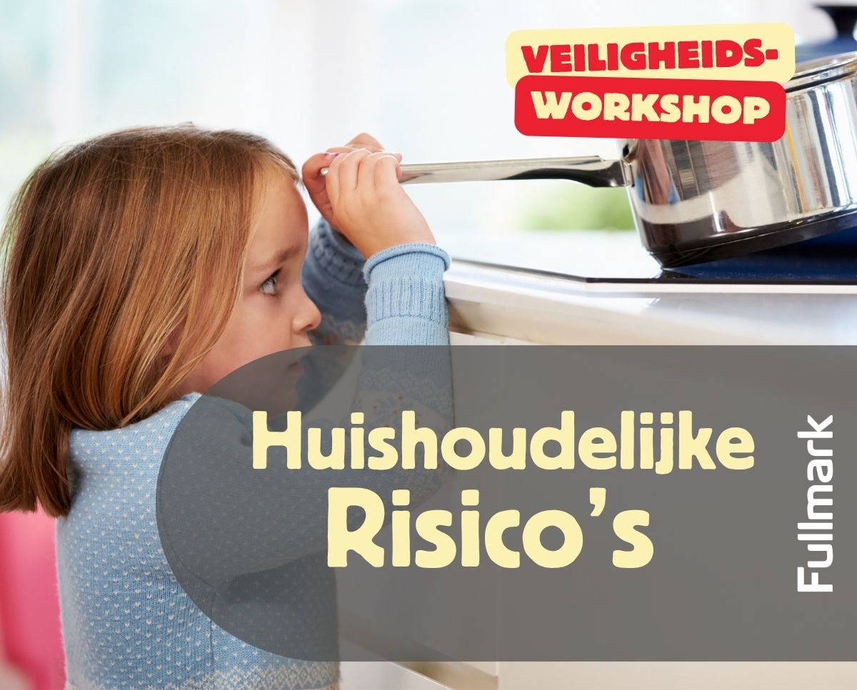 Huishoudelijke Risico's